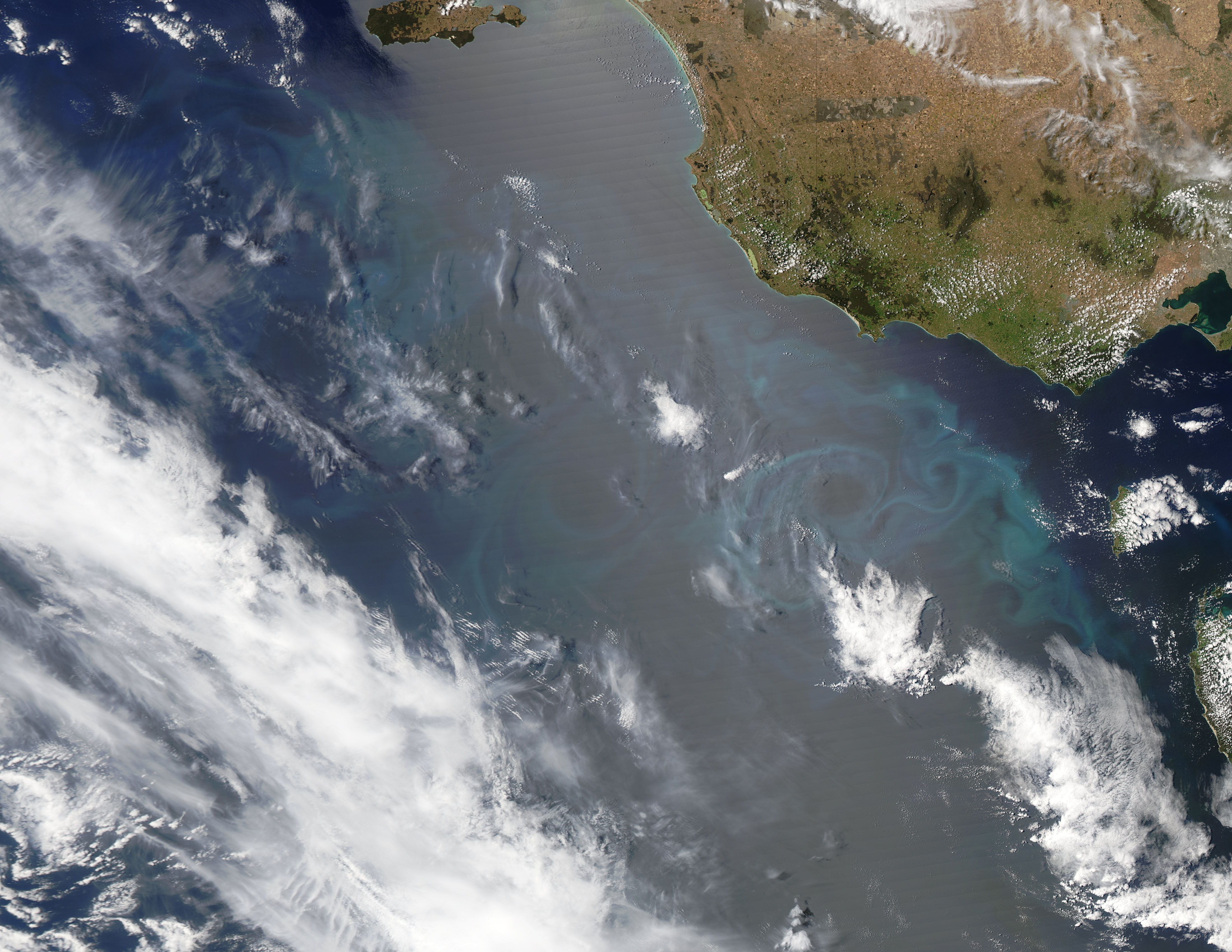 Phytoplankton bloom off Australia - related image preview