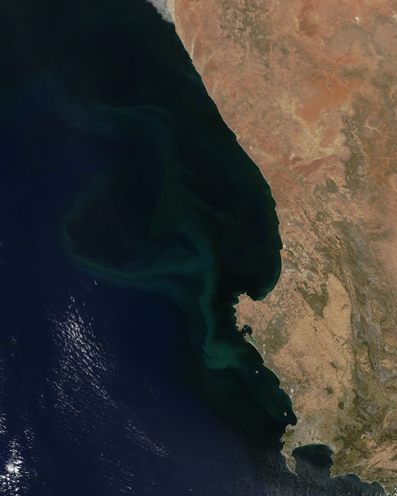 Phytoplankon bloom off South Africa - related image preview