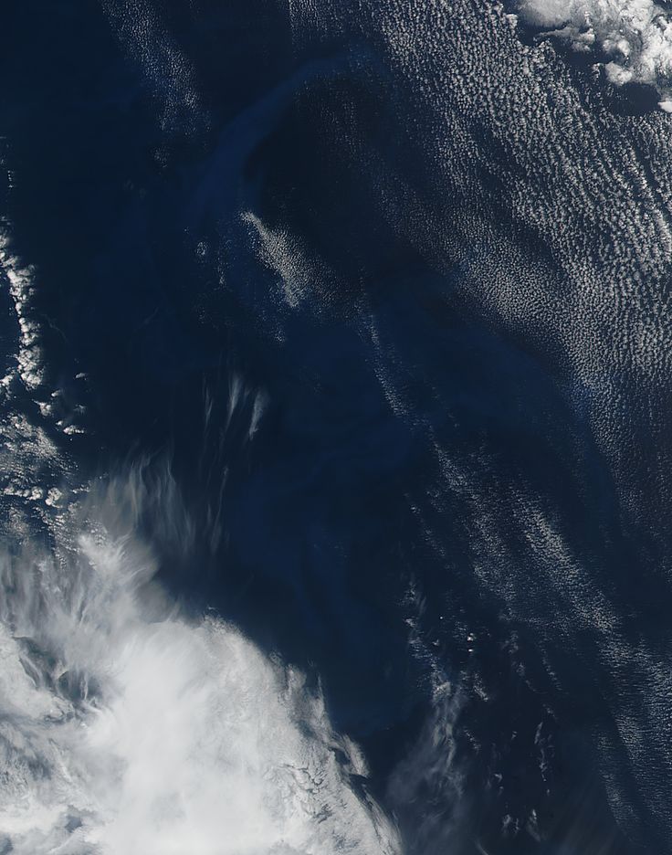 Phytoplankton bloom in the southeastern Indian Ocean - related image preview