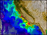 Chlorophyll Along U.S. West Coast - selected image