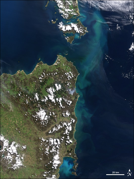 Algal Bloom off Tasmania