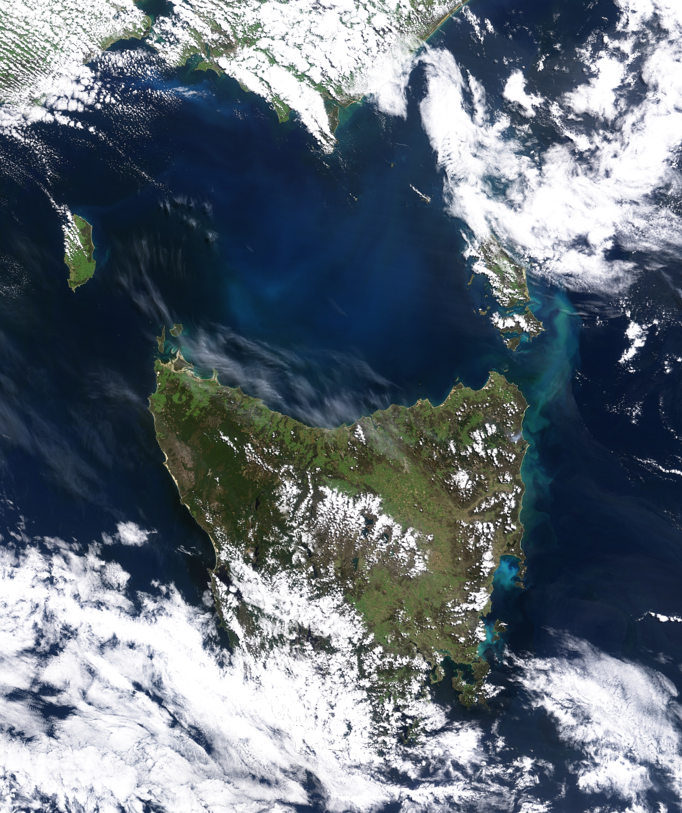 Algal Bloom off Tasmania - related image preview