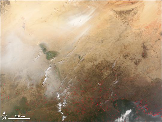 Dust Storm in the Bodele Depression