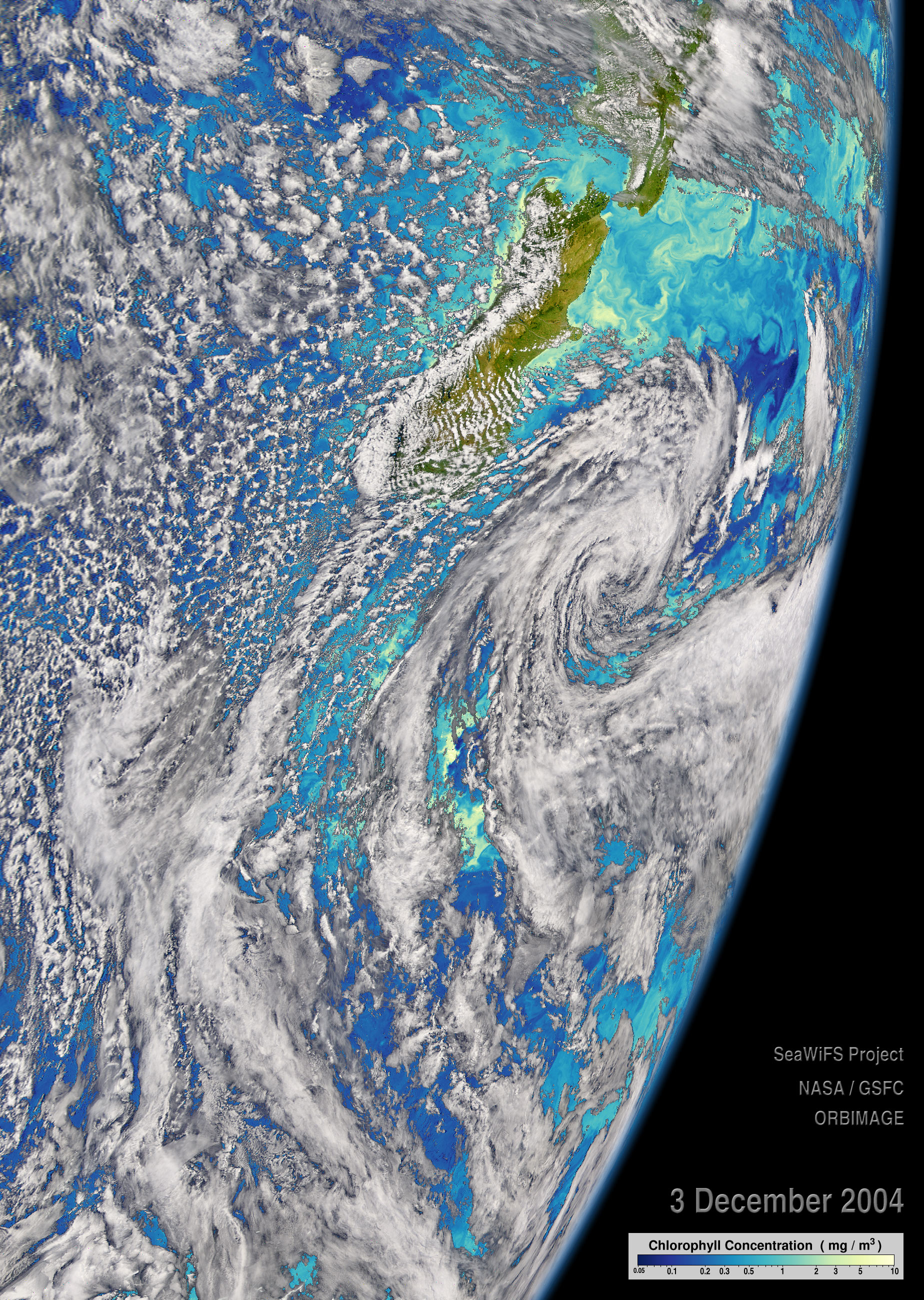 Subtropical Blooms in New Zealand Waters - related image preview