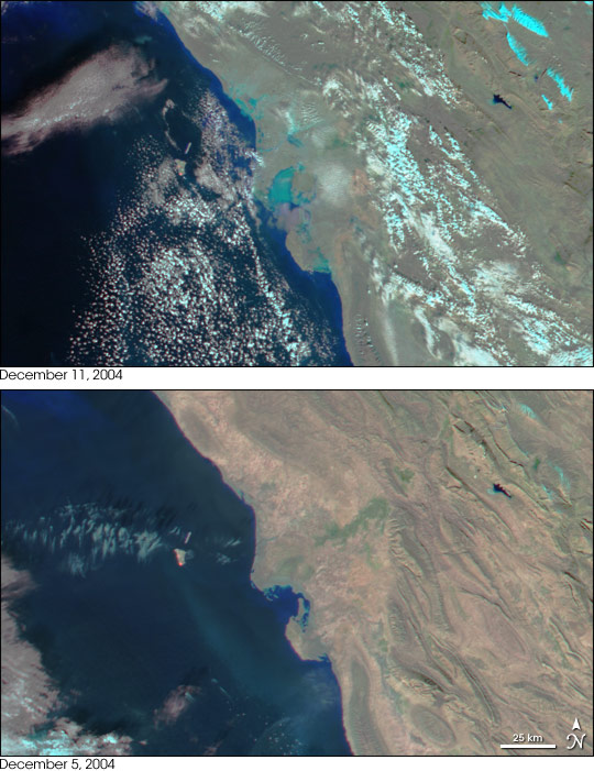 Floods on Iranian Gulf Coast