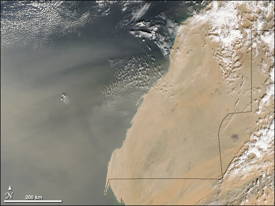 Dust Storm off Western Sahara Coast
