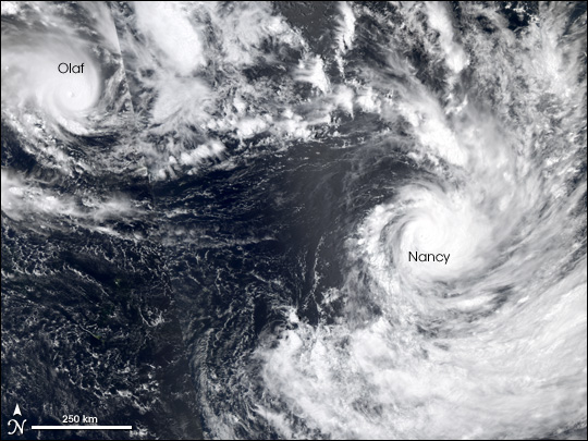 Cyclones in the Pacific