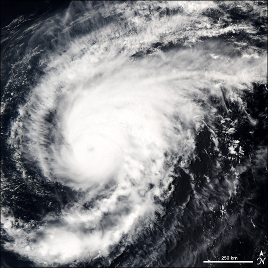 Typhoon Sonca