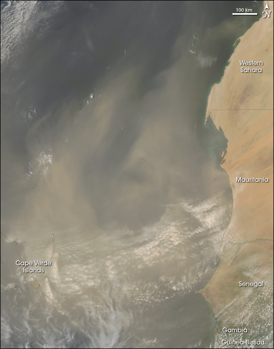 Dust Storm Off the Coast of Western Africa