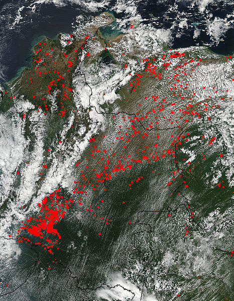 Fires in northwestern South America - related image preview