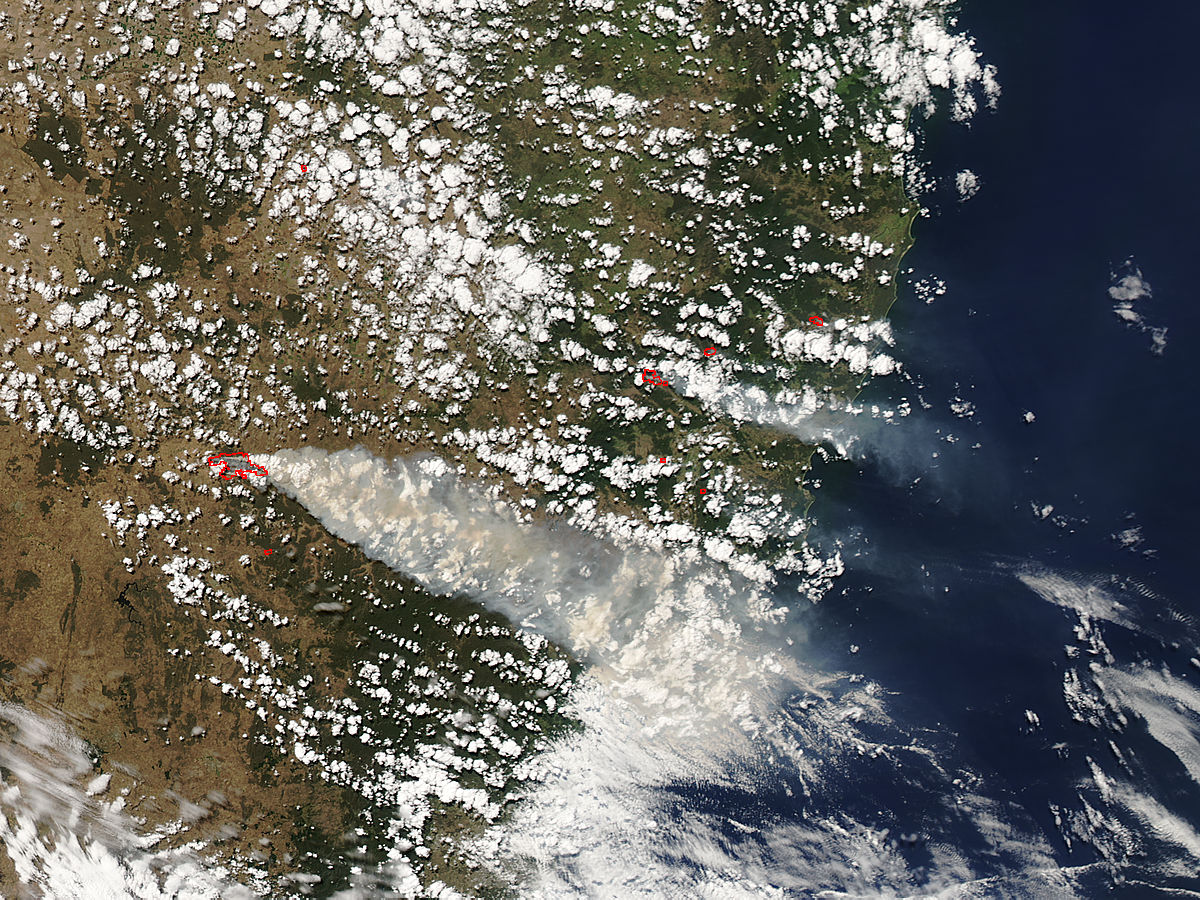 Fires in eastern New South Wales - related image preview