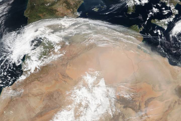 Dust storm across North Africa - selected child image