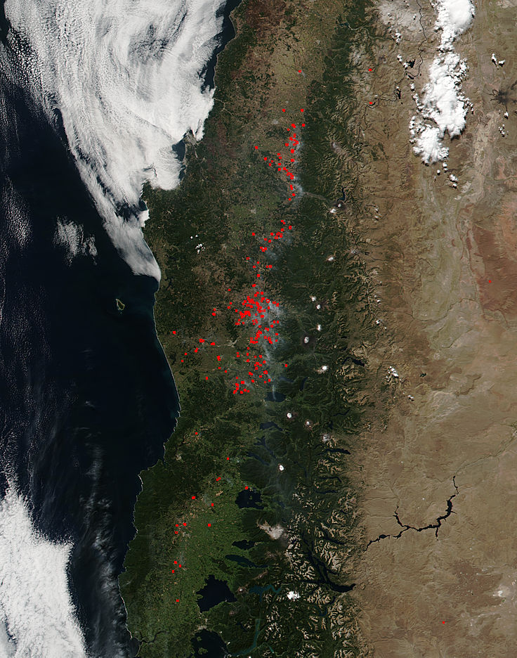 Fires in southern Chile - related image preview