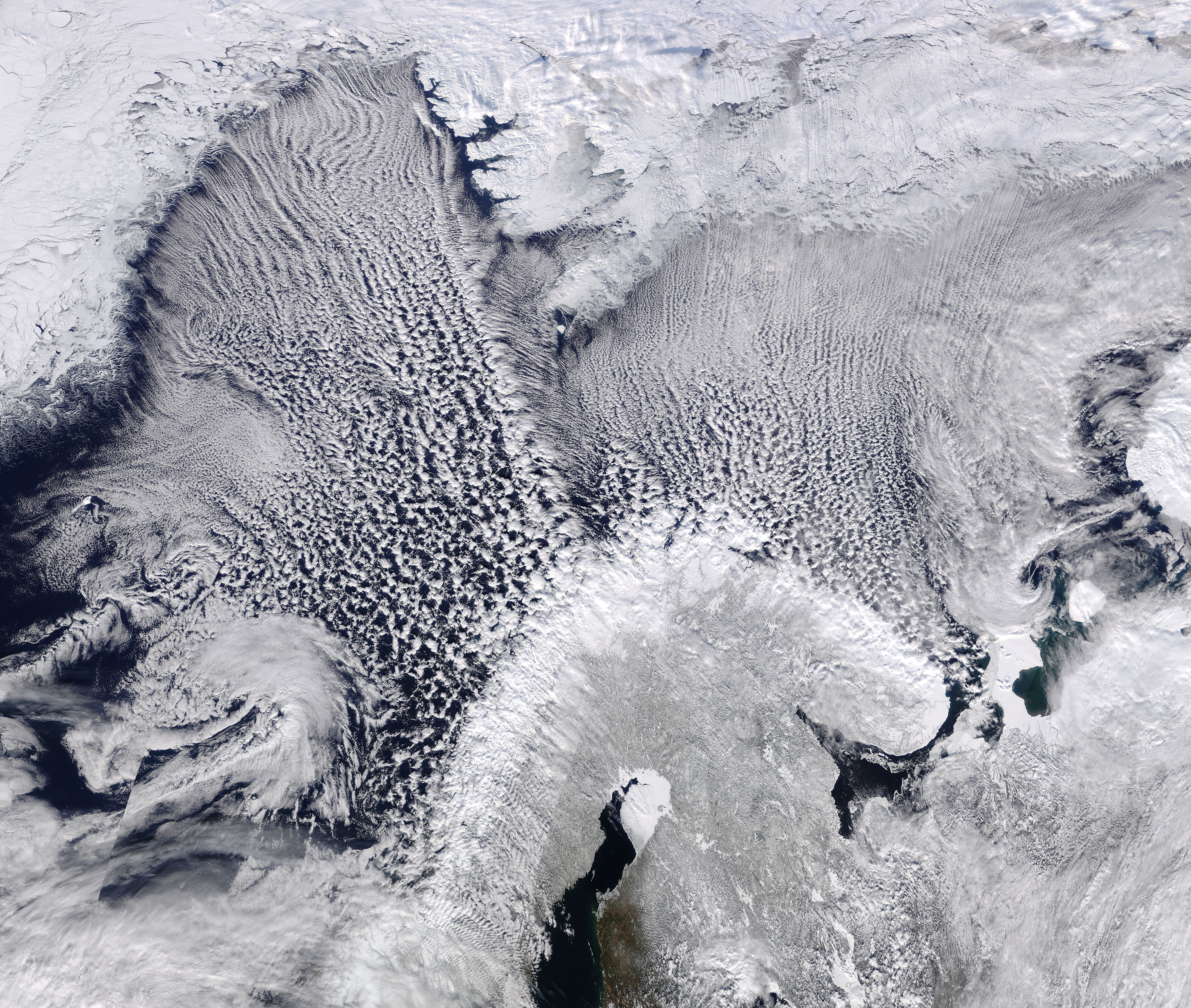 Cloud streets in the Greenland, Norwegian, and Barents Seas - related image preview
