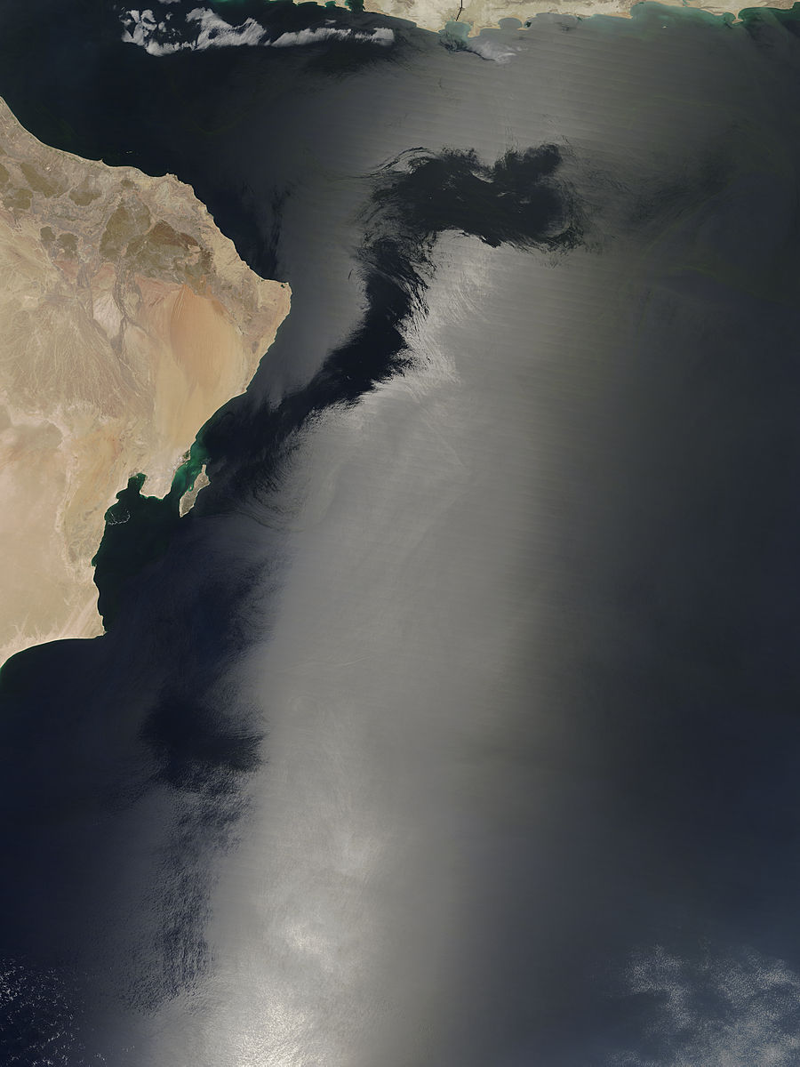 Wind patterns in sun glint on the Arabian Sea - related image preview
