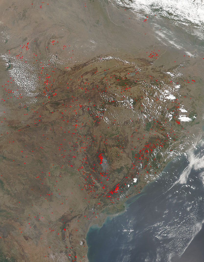 Fires in India - related image preview