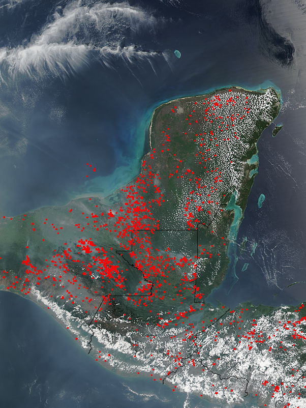 Fires in the Yucatan - related image preview