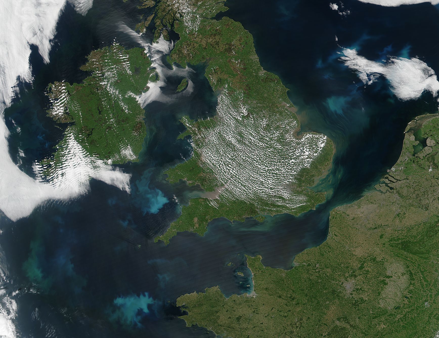 Phytoplankton blooms off western Europe - related image preview