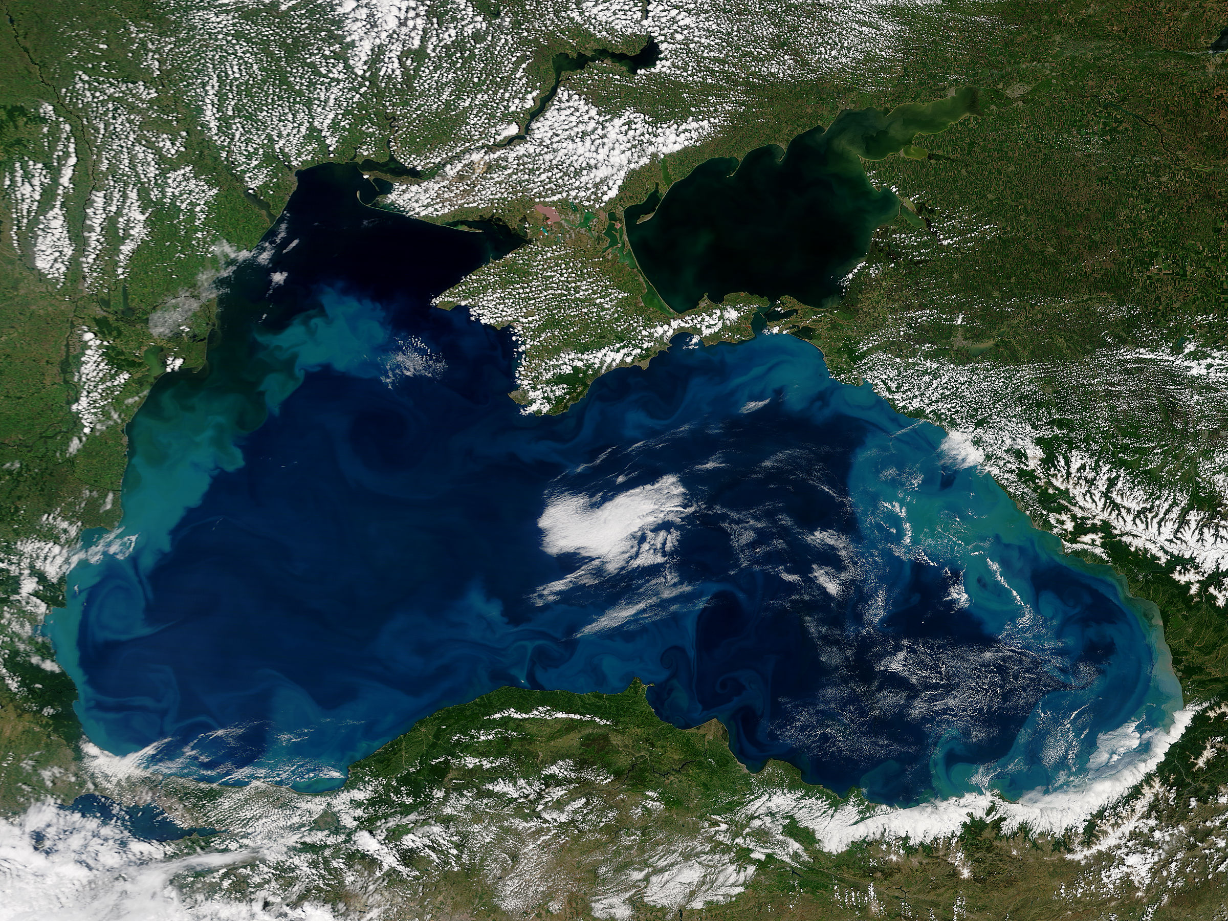 Phytoplankon blooms in the Black Sea - related image preview