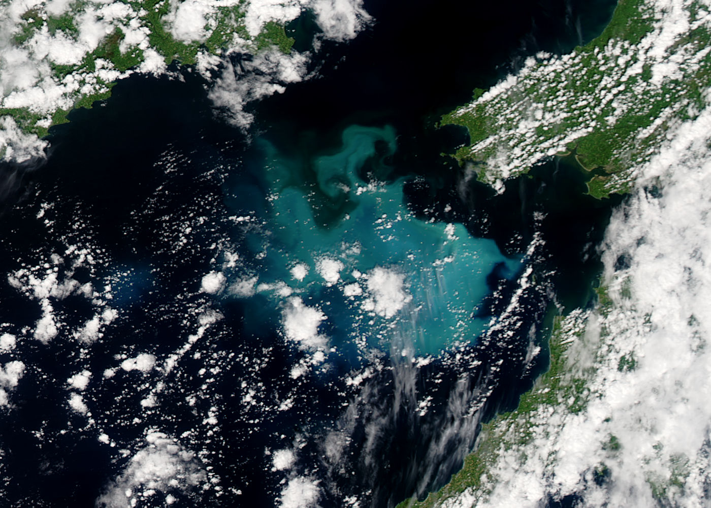 Phytoplankon bloom in the Celtic Sea - related image preview