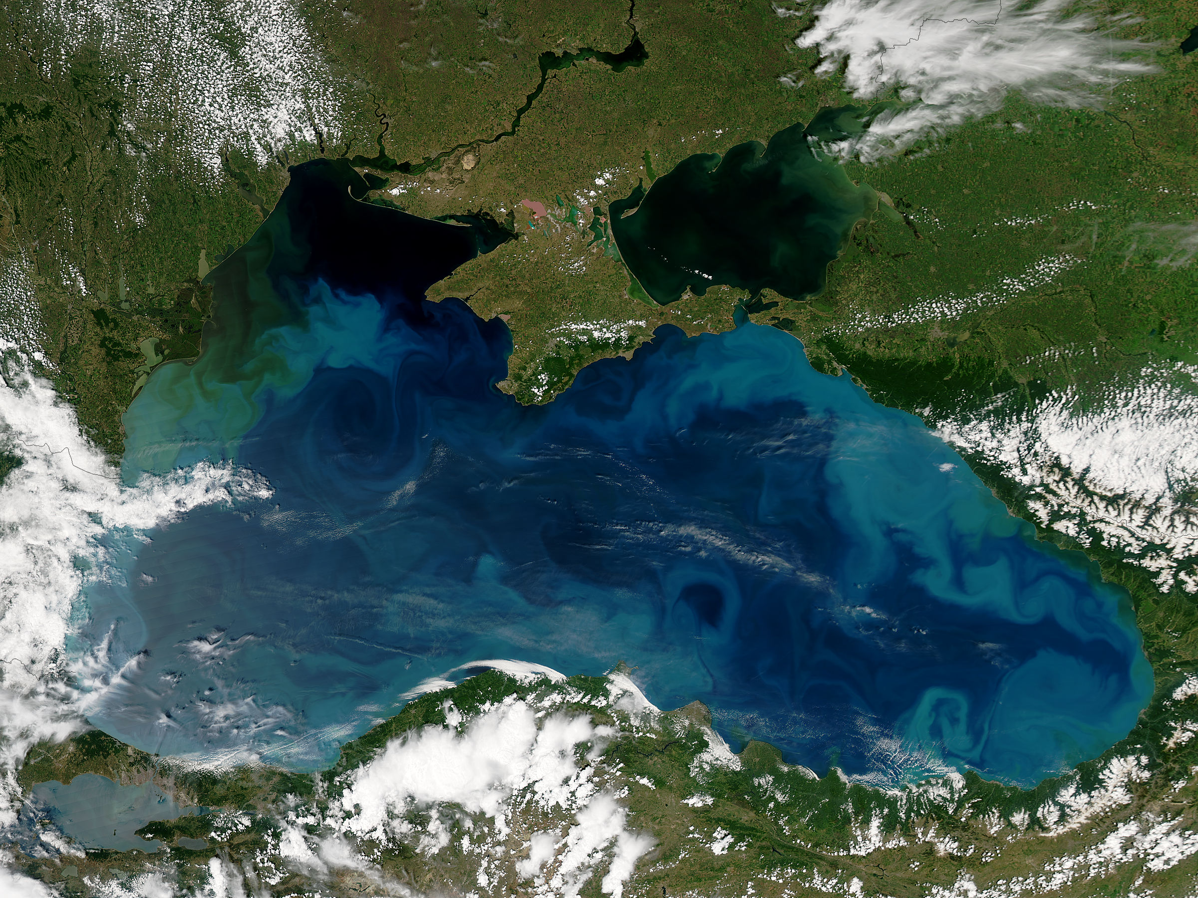 Phytoplankon blooms in the Black Sea - related image preview