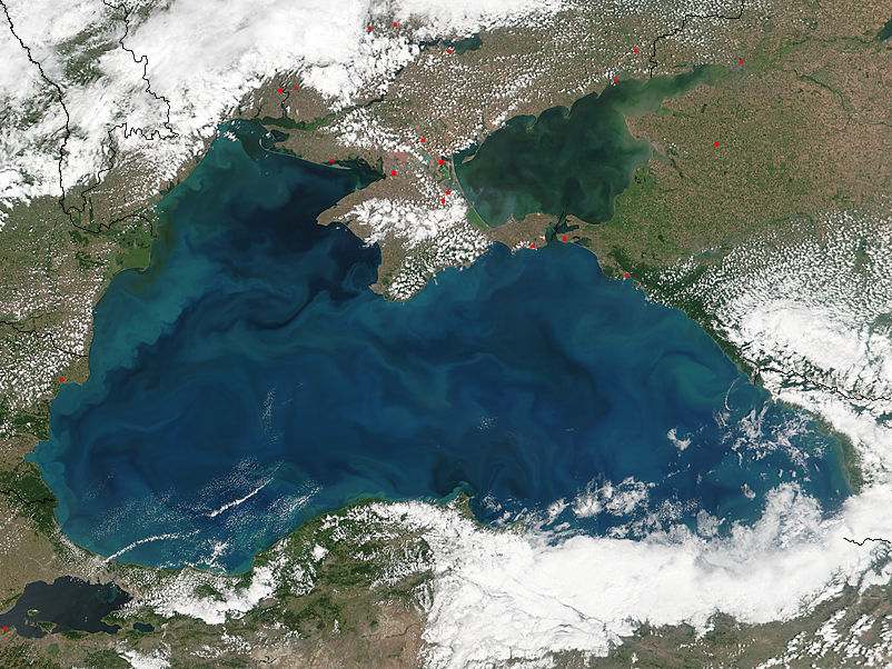 Phytoplankon blooms in the Black Sea - related image preview
