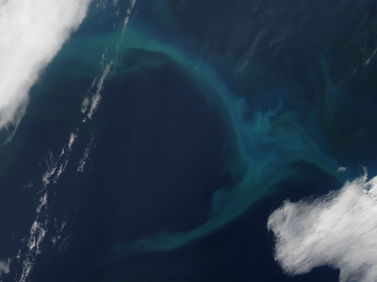 Phytoplankton bloom in the North Pacific Ocean - related image preview