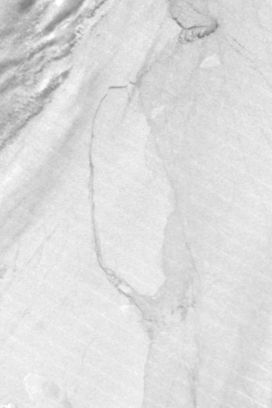 Iceberg A68 breaking off from Larsen C ice shelf, Antarctica (Day/Night Band) - related image preview