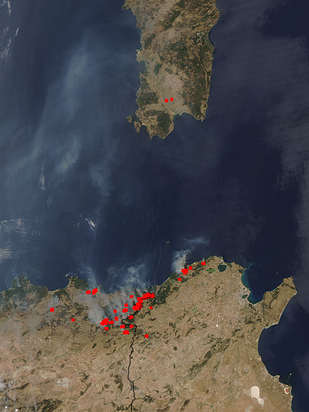 Fires in northern Algeria - related image preview