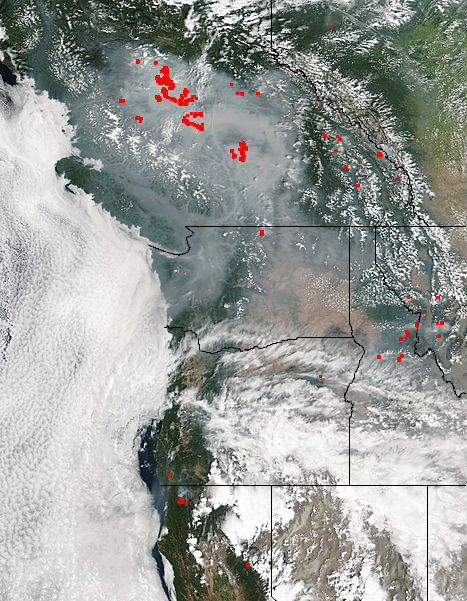 Fires and smoke in western Canada and United States - related image preview