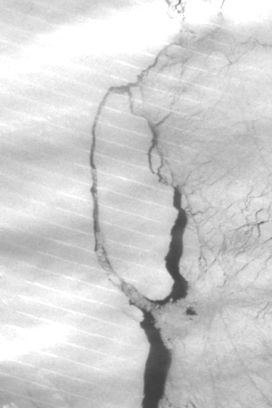 Iceberg A68 breaking off from Larsen C ice shelf, Antarctica (Day/Night Band) - related image preview