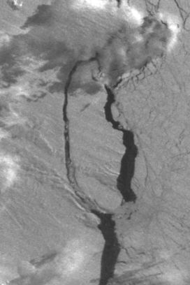 Iceberg A68 off the Larsen C ice shelf, Antarctica (Day/Night Band) - related image preview