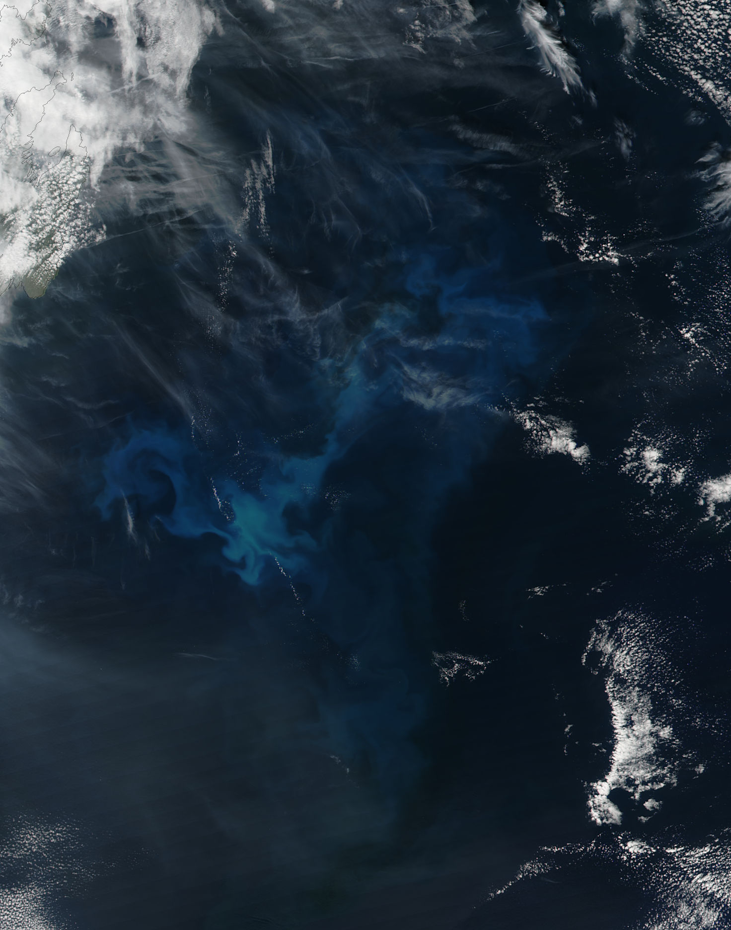 Phytoplankton bloom off Canada - related image preview
