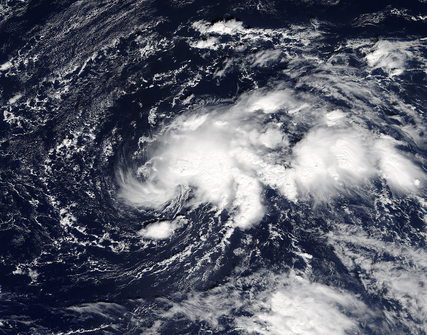 Tropical Storm Ophelia (17L) in the Atlantic Ocean - related image preview