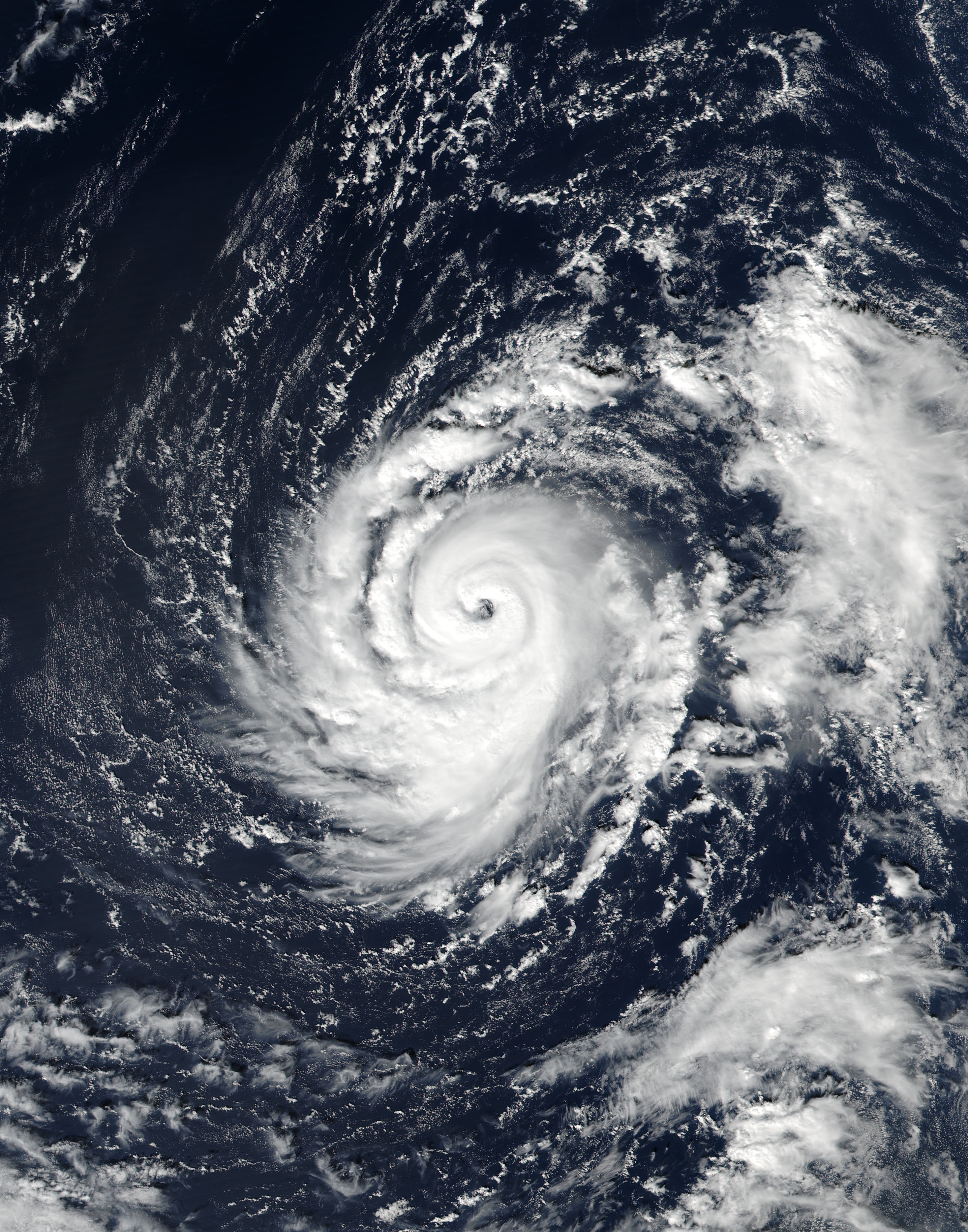 Hurricane Ophelia (17L) in the Atlantic Ocean - related image preview