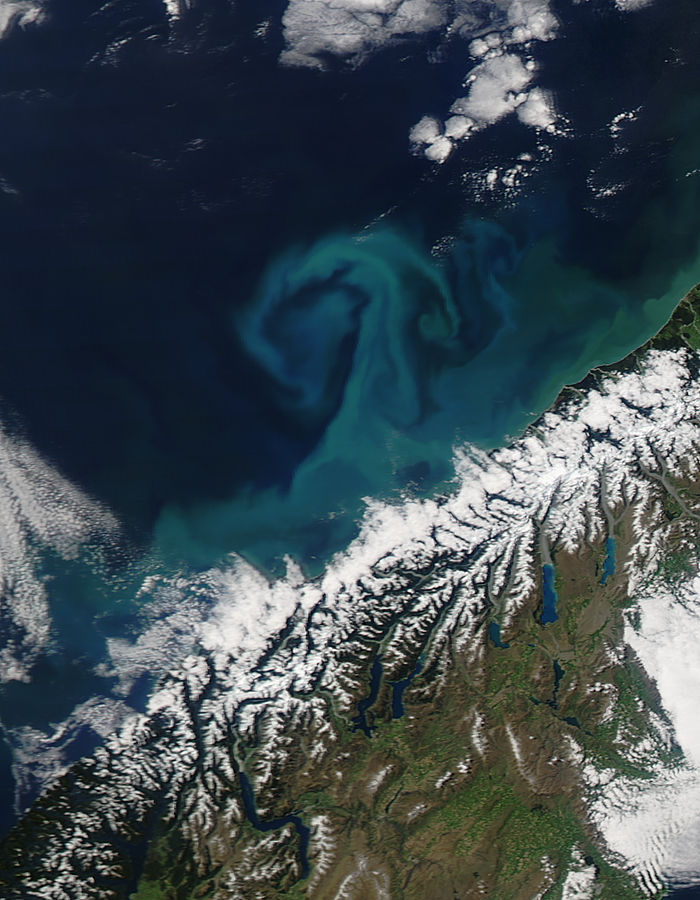 Phytoplankton bloom off South Island, New Zealand - related image preview