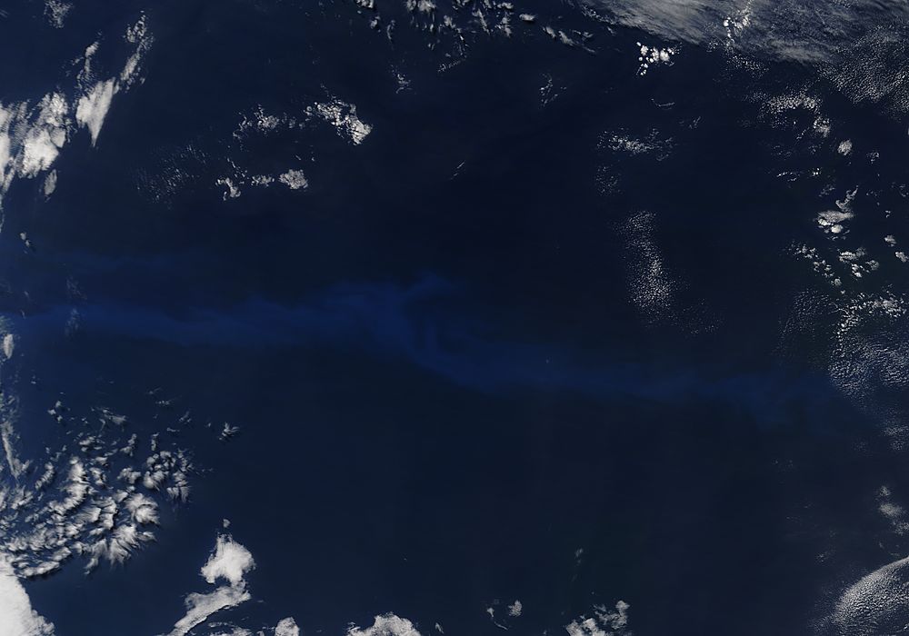 Phytoplankton bloom in the South Atlantic Ocean - related image preview