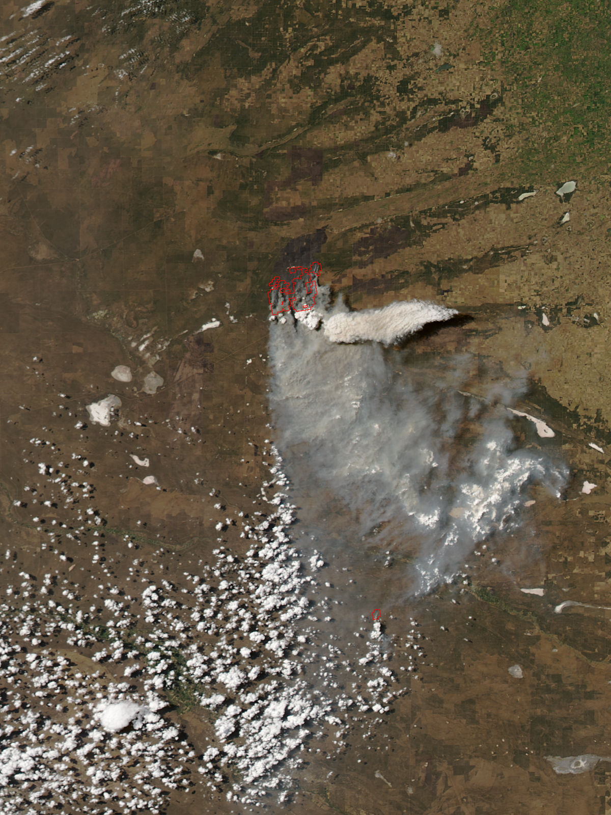 Pyrocumulonimbus cloud from fires in central Argentina - related image preview