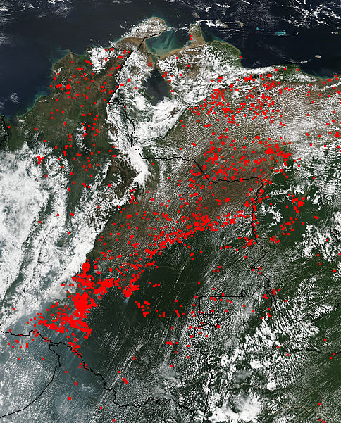 Fires in northwest South America - related image preview