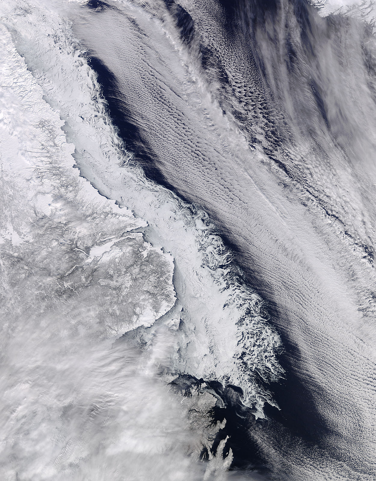 Sea ice along the coast of Labrador - related image preview