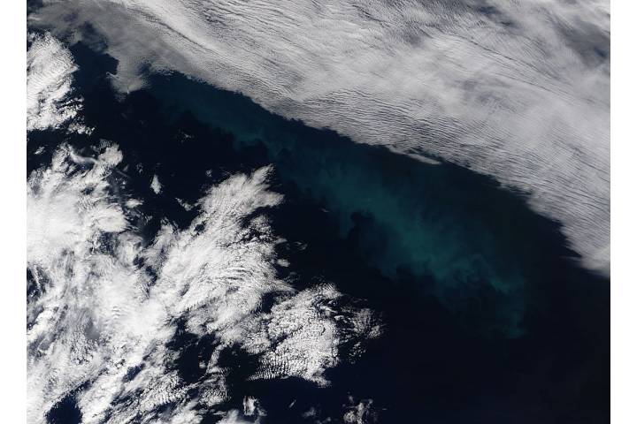 Phytoplankton bloom in the North Atlantic Ocean - selected child image