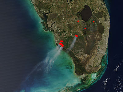 Fires in southern Florida - related image preview