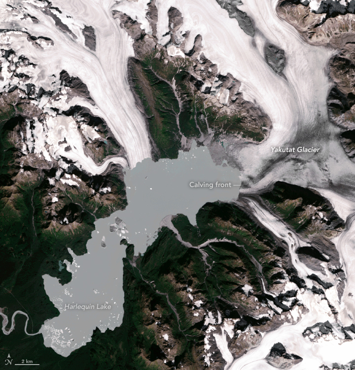 Watching a Glacier Die