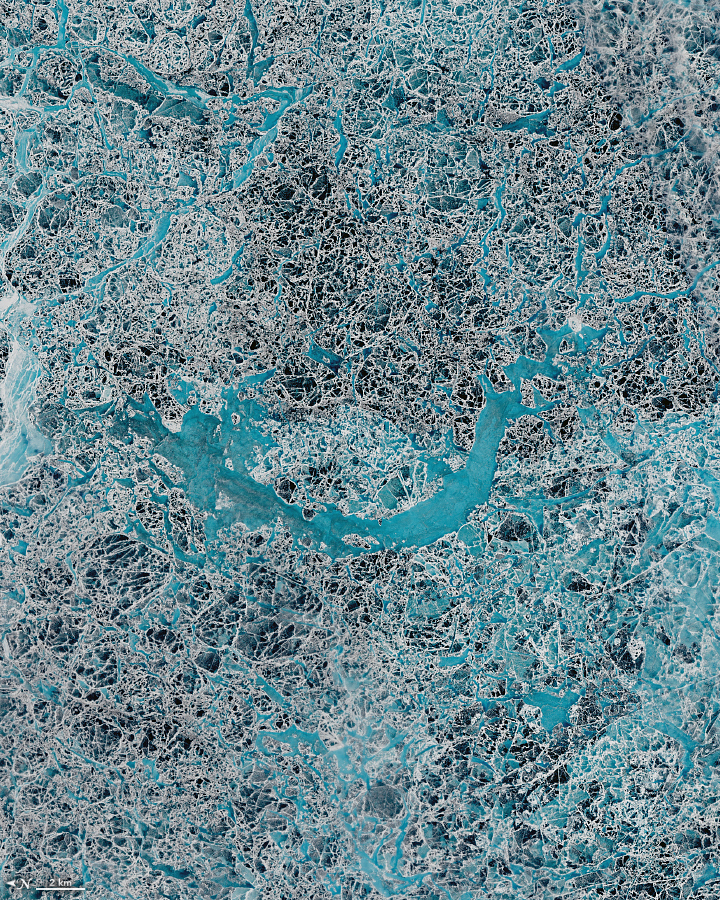 Icy Art in the Sannikov Strait - related image preview