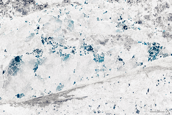 Icy Art in the Sannikov Strait - related image preview