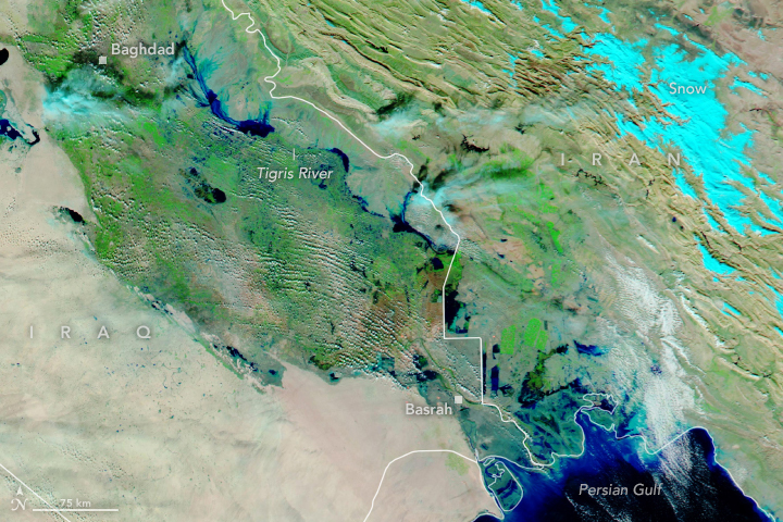 Floods Swamp Iraq - related image preview