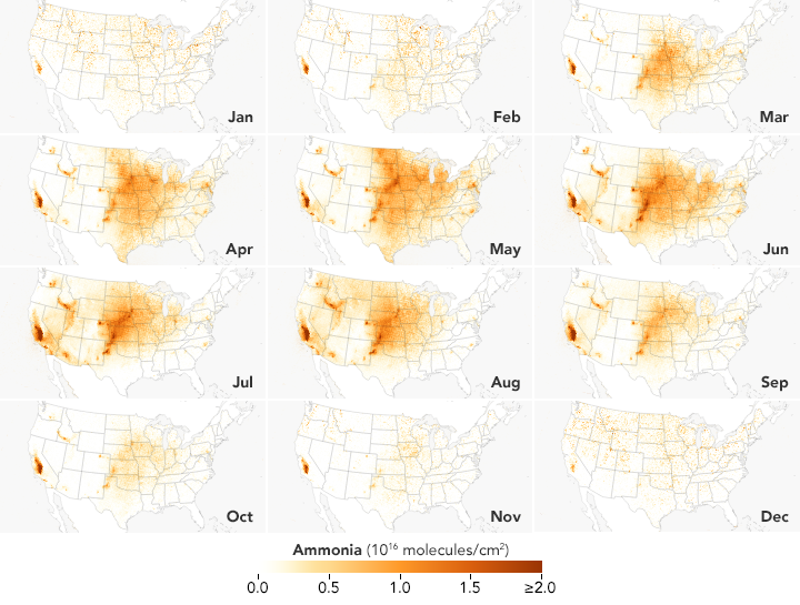 The Seasonal Rhythms of Ammonia - related image preview