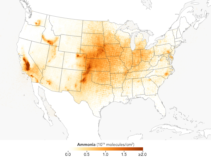 The Seasonal Rhythms of Ammonia