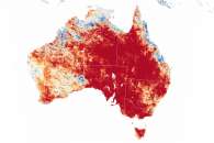 Blistering Summer in Australia Blistering Summer in Australia
