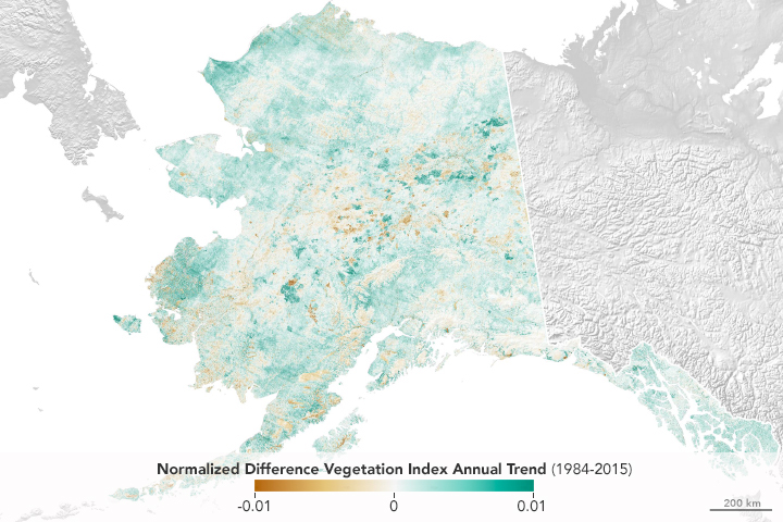 Alaska in Flux: Wildfire Recovery Paints Alaska Green - related image preview